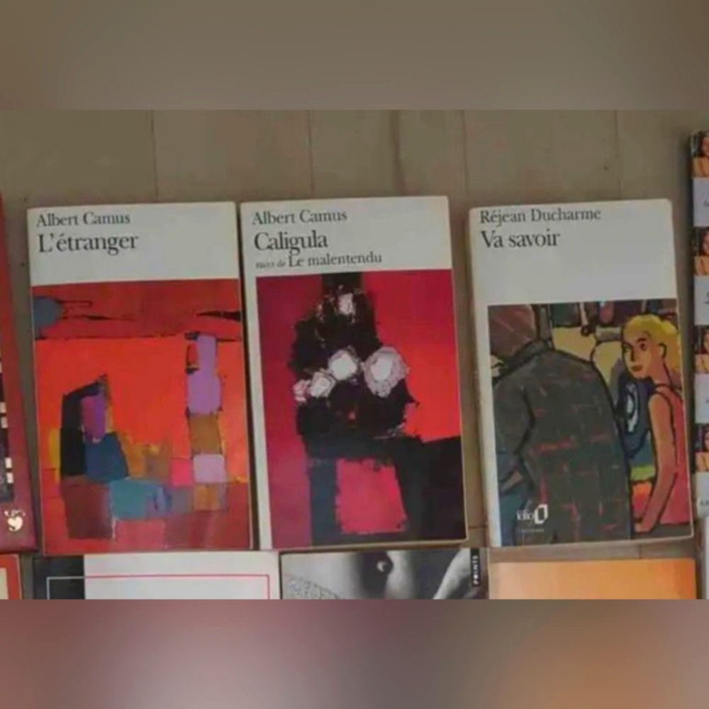 🌞4/20$ Bundle of 3 classic french book